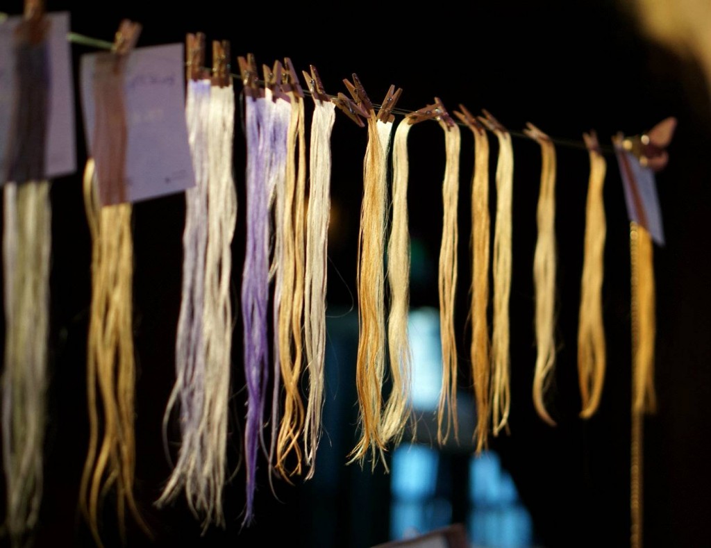 image5 (26)