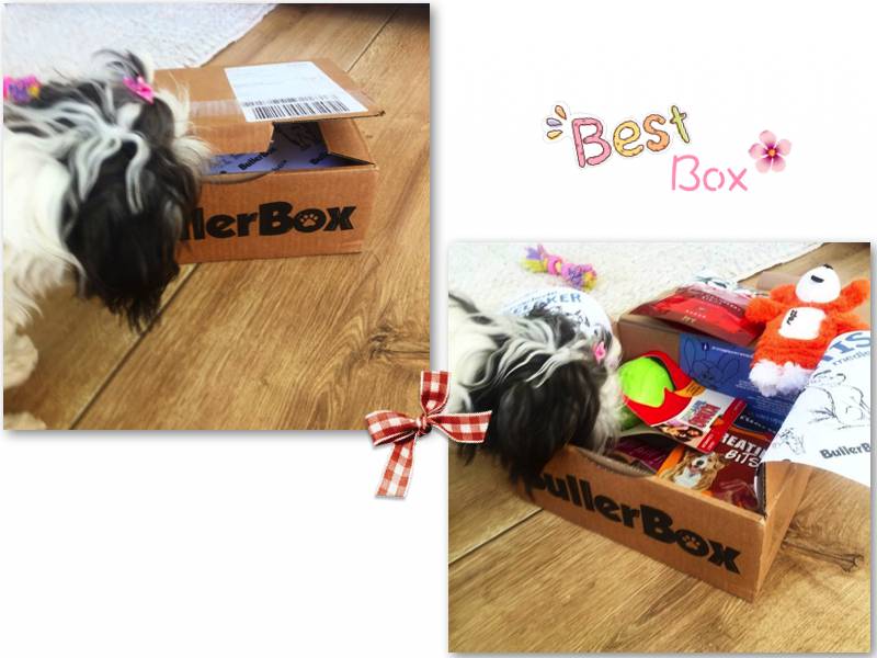 bullerbox
