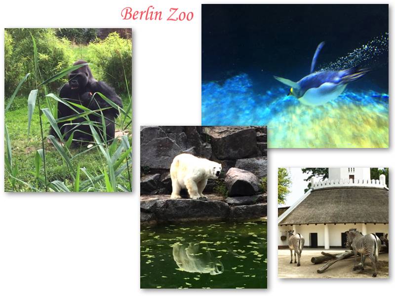 zoo 2