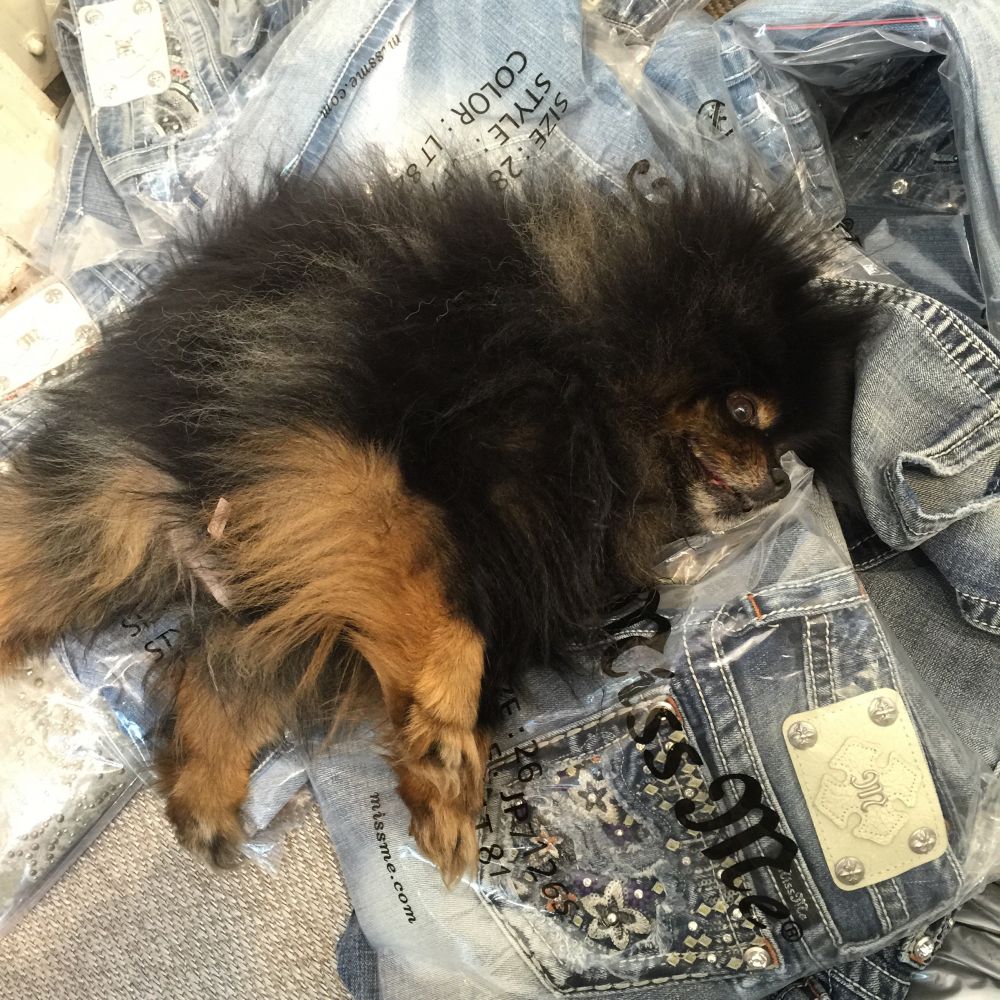 IMG_5496