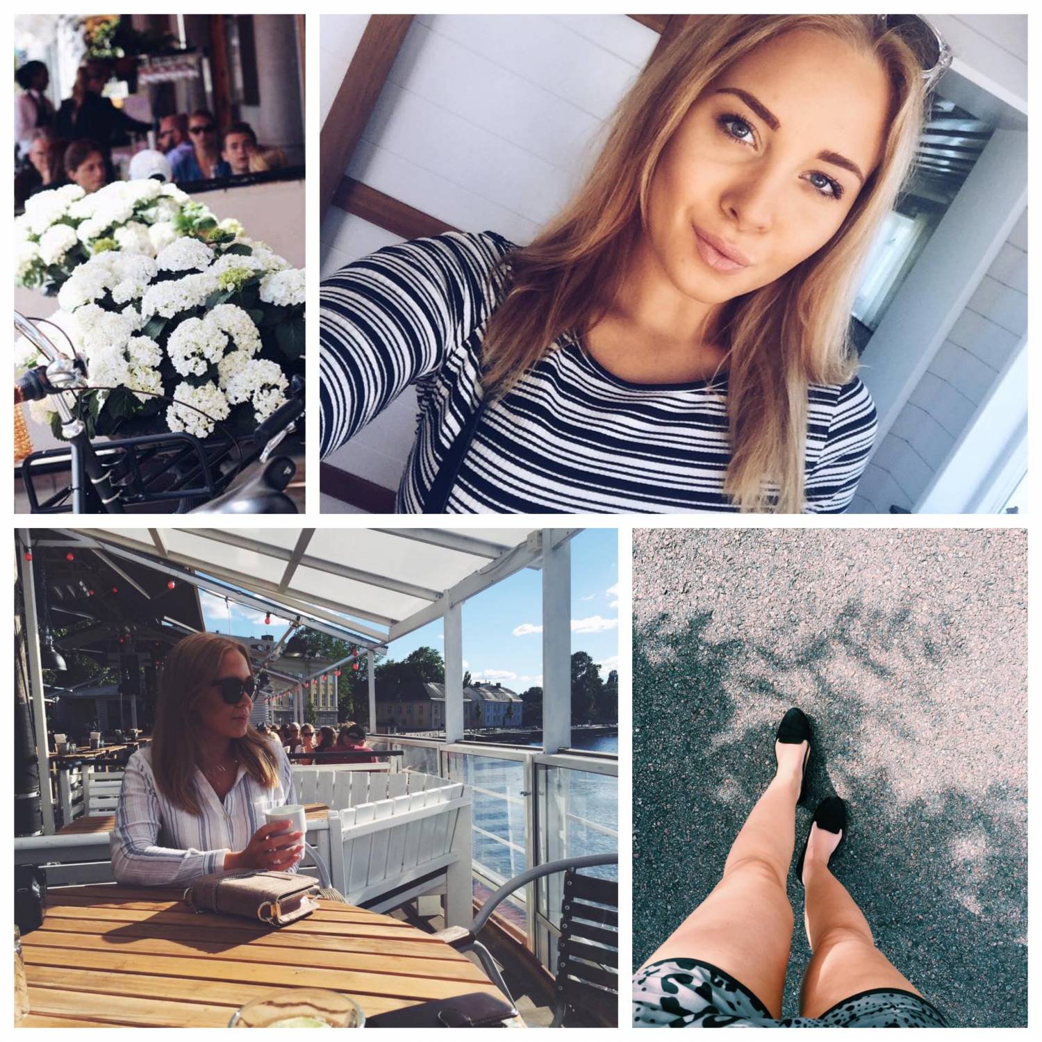 Collagesnappis