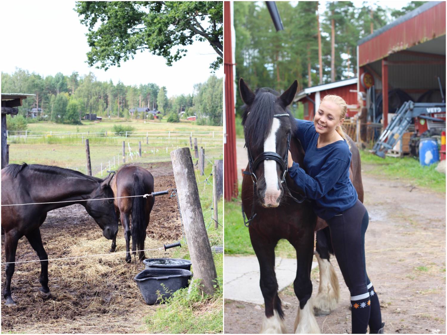 Hästtar