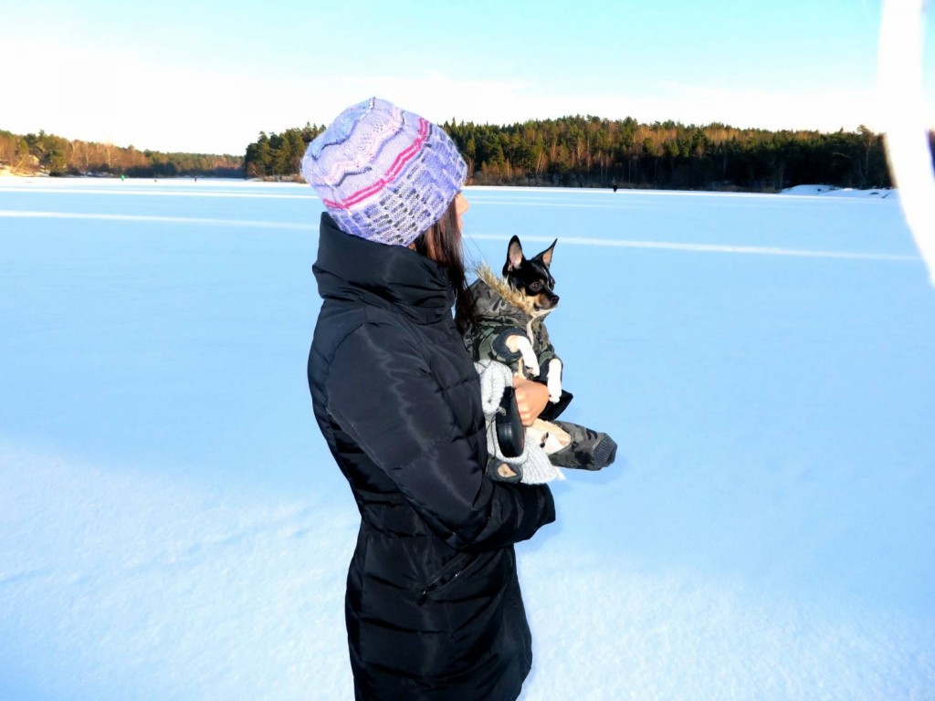 IMG_4120